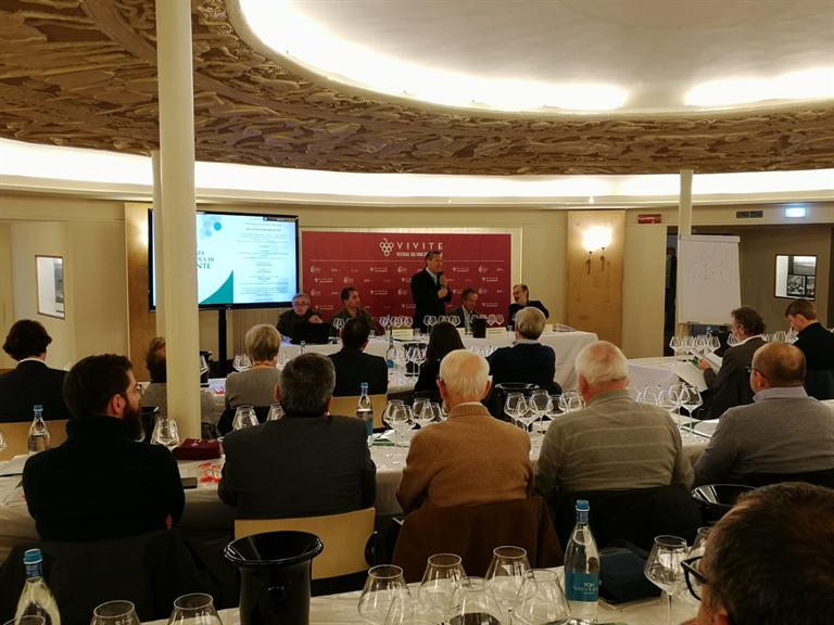 Annata vitivinicola in Piemonte: + 30% sul 2017, ottima la qualità e la quantità