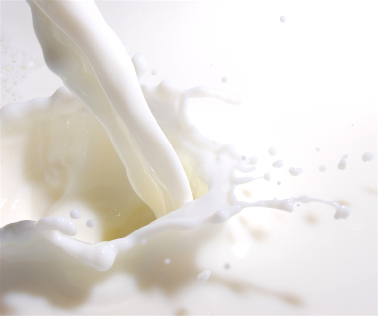 Latte e derivati: l’importanza di una corretta informazione