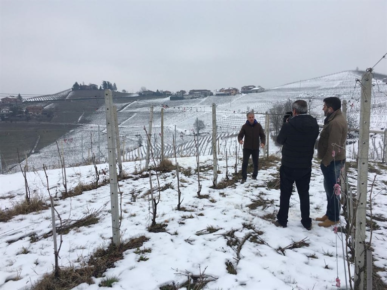 La cooperazione piemontese si racconta: TG5 Gusto sulle colline di Terre del Barolo e Produttori del Barbaresco