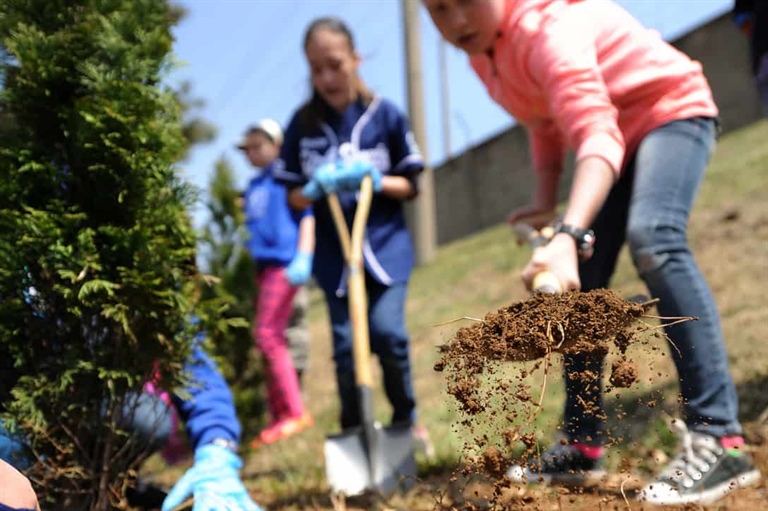 “60 milioni di alberi”: anche Alleanza Cooperative Italiane settore forestale accoglie l’appello della Comunità Laudato Sì