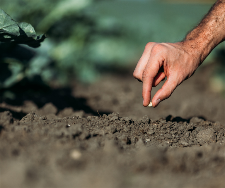 Oltre l’esclusione delle cooperative agricole dalla decontribuzione 2020