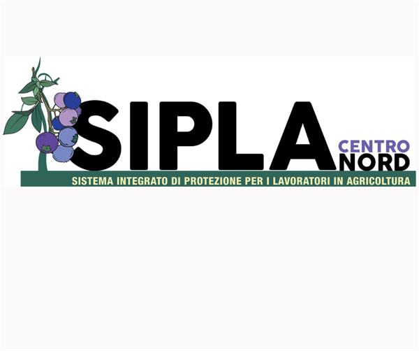 [Aggiornamento] AVVISO PUBBLICO PER L’AFFIDAMENTO DEI SERVIZI DI BILANCIO DI COMPETENZE E FORMAZIONE ALLO START-UP DI IMPRESA -  PROGETTO FAMI “SIPLA – CENTRO NORD ” PROG. 2904 – CUP D49C19000040007