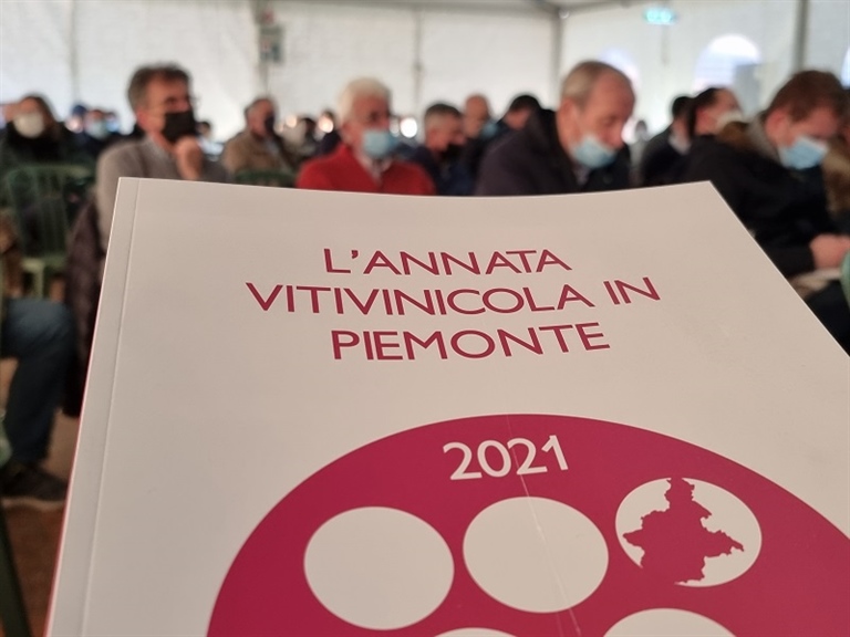 I dati della vendemmia 2021 in Piemonte