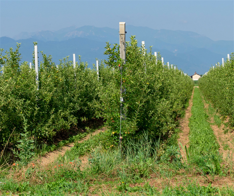 Agricoltori in perdita. Roberto Morello a La Stampa: “Situazione paradossale”