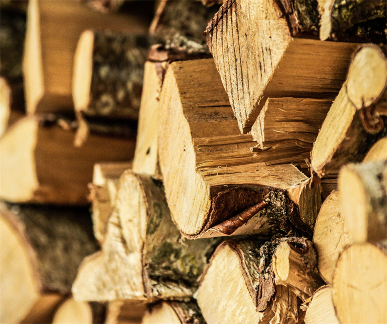 Produrre energia dal legno: il progetto LENO contro il “caro bollette”