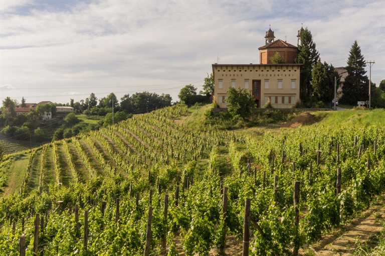 A Scuola tra i Vigneti con Cantina Clavesana