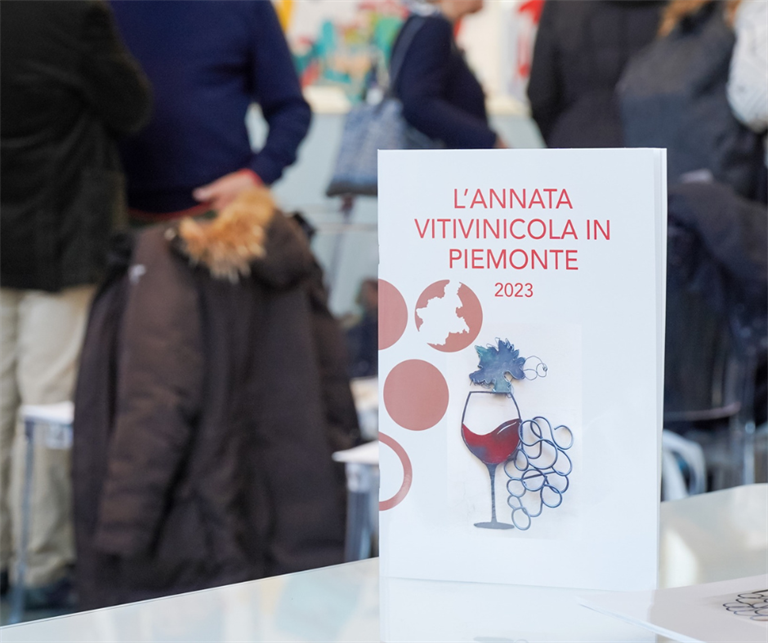 In Piemonte produzione di uva giù del 14%, ma la vendemmia 2023 è a «otto stelle»