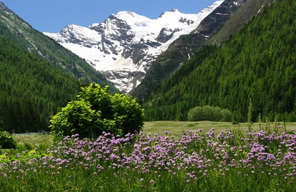 “Spazio Gran Paradiso”