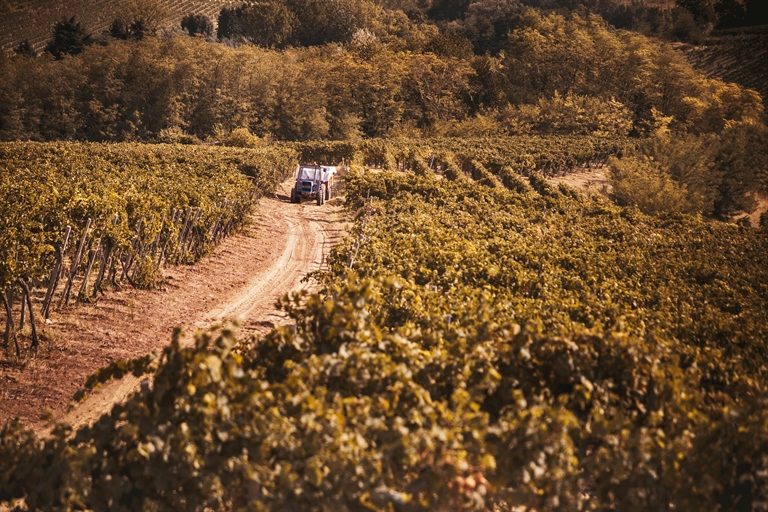 Un autunno da ricordare per Cantina Tre Secoli: premi che confermano la forza della cooperazione