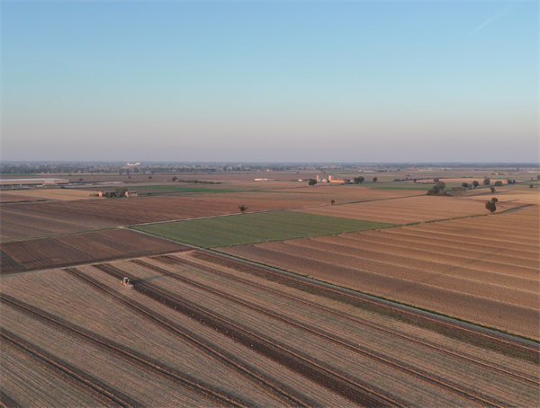 Mercosur: anche il Piemonte chiede garanzie concrete per le filiere agroalimentari