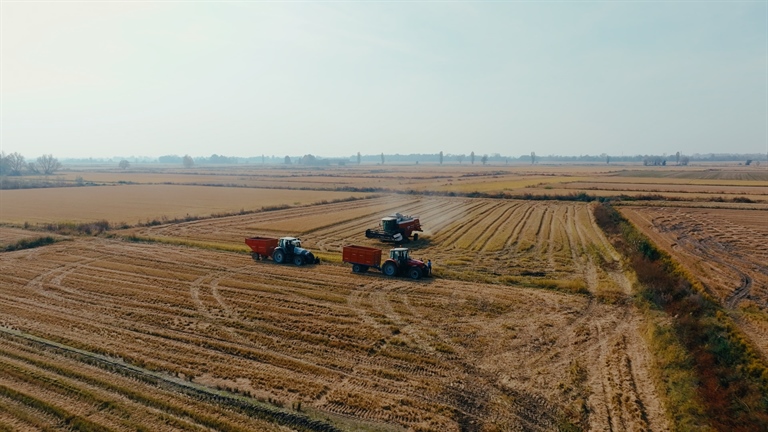 Comparto riso, la cooperazione rilancia l’allarme e chiede misure straordinarie