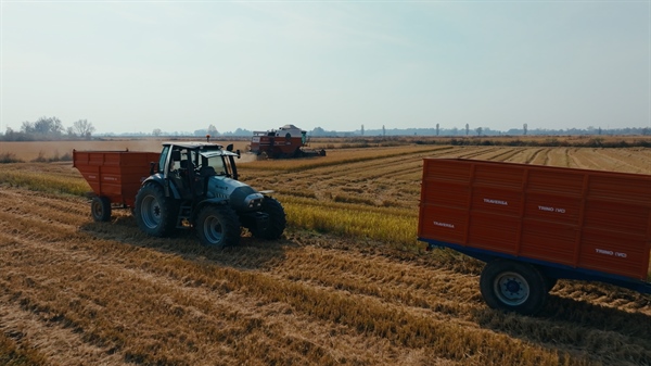 Riso, clausola di salvaguardia al 45%: Confcooperative Agroalimentare e Pesca Piemonte esprime forte preoccupazione