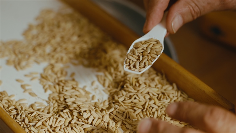 Crisi del riso, Confcooperative Piemonte: “Risaie asciutte, prezzi dimezzati e costi insostenibili. Il settore è al collasso”