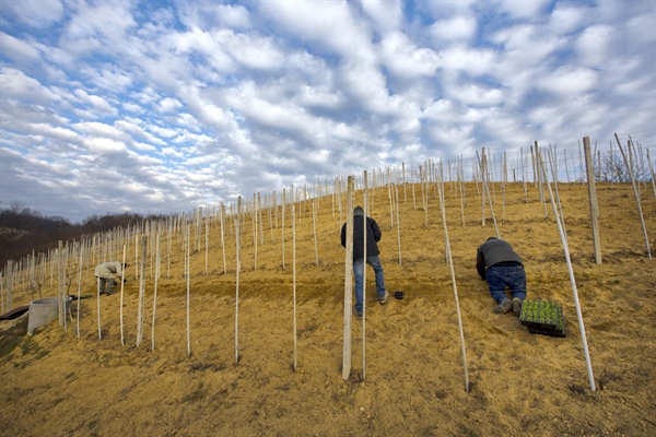 Terra Mia Onlus: agricoltura e integrazione socio-lavorativa, da oltre 30 anni binomio di successo